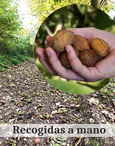 Hogar y Mas - Nueces de España Naturales con cascara Frescas, Cosecha del 2020"Limitada, Bolsa de 3 kg.