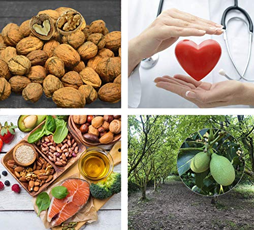 Hogar y Mas - Nueces de España Naturales con cascara Frescas, Cosecha del 2020"Limitada, Bolsa de 3 kg. Hogar y Mas - Nueces de España Naturales con cascara Frescas, Cosecha del 2020"Limitada, Bolsa de 3 kg.