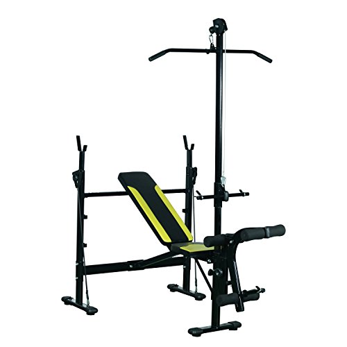 HOMCOM Banco de Pesas Reclinable Multifunción para Entrenamiento y Musculación 175x110x202 cm Negro HOMCOM Banco de Pesas Reclinable Multifunción para Entrenamiento y Musculación 175x110x202 cm Negro