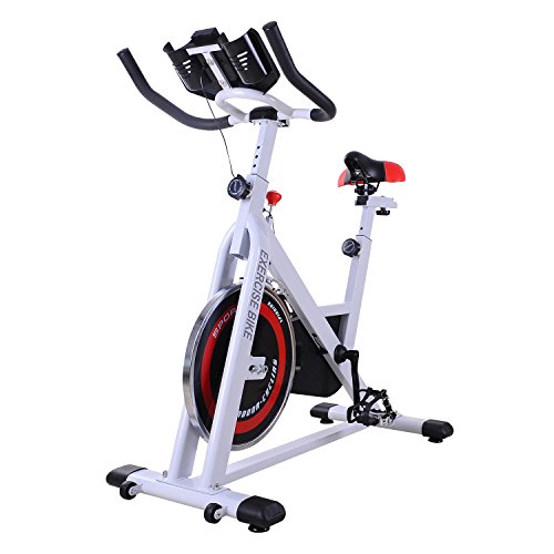 HOMCOM Bicicleta Estática Bicicleta de Fitness Pantalla LCD Asiento y Manillar Ajustable Resistencia Regulable Carga 120kg 107x48x100cm Acero Blanco