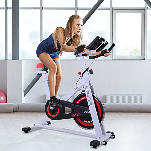 HOMCOM Bicicleta Estática Bicicleta de Fitness Pantalla LCD Asiento y Manillar Ajustable Resistencia Regulable Carga 120kg 107x48x100cm Acero Blanco HOMCOM Bicicleta Estática Bicicleta de Fitness Pantalla LCD Asiento y Manillar Ajustable Resistencia Regulable Carga 120kg 107x48x100cm Acero Blanco