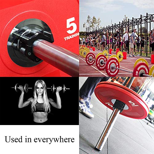 Homefantasy Bloqueadores para Barras De Pesas, 2 Pzs Bloqueadores Mancuernas 50mm, para Crossfit, con Bloqueo, De LiberacióN RáPida, Bloqueador Pesas para Barra Olimpica, Cierre Barra 50mm Homefantasy Bloqueadores para Barras De Pesas, 2 Pzs Bloqueadores Mancuernas 50mm, para Crossfit, con Bloqueo, De LiberacióN RáPida, Bloqueador Pesas para Barra Olimpica, Cierre Barra 50mm