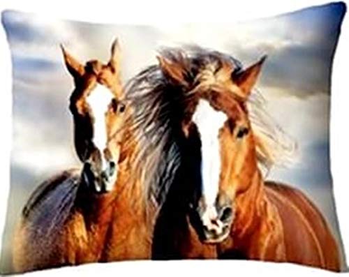 Horse Riding - Juego de cama, edredón con diseño de caballo marrón, para cama de 140 x 200 cm, individual, 100% de algodón, ropa de cama