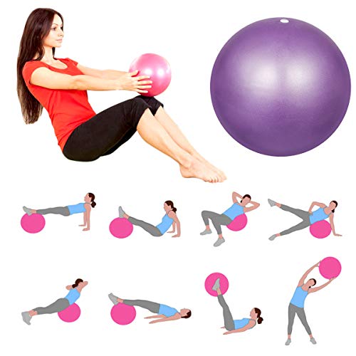 HQdeal 2 Piezas 23cm Pelota de Ejercicio de Pilates Mini Pelota Pilates Balones Yoga, Rosado y Morado