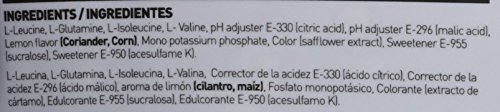 HSN Sports Evobcaa's Glutamina y Aminoácidos Ramificados de Proporción con Glutamina - 420 gr HSN Sports Evobcaa's Glutamina y Aminoácidos Ramificados de Proporción con Glutamina - 420 gr
