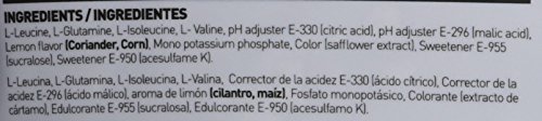 HSN Sports Evobcaa's Glutamina y Aminoácidos Ramificados de Proporción con Glutamina - 420 gr