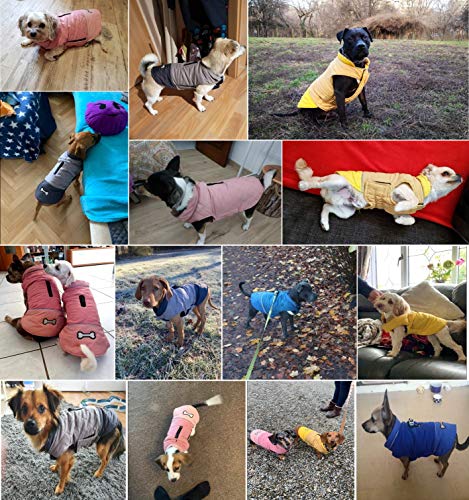 Idepet Chaqueta impermeable para perros Chaqueta cálida de invierno Chaleco, traje de nieve a prueba de viento Ropa para perros Chaleco para mascotas Ropa para perros con orificio para arnés Idepet Chaqueta impermeable para perros Chaqueta cálida de invierno Chaleco, traje de nieve a prueba de viento Ropa para perros Chaleco para mascotas Ropa para perros con orificio para arnés
