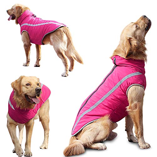 Idepet Impermeable Abrigo para perros Chaqueta abrigadora de invierno, Ropa impermeable para perros al aire libre Traje Chaleco para perros pequeños medianos grandes con orificio para arnés Idepet Impermeable Abrigo para perros Chaqueta abrigadora de invierno, Ropa impermeable para perros al aire libre Traje Chaleco para perros pequeños medianos grandes con orificio para arnés