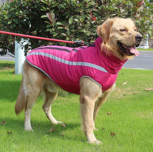 Idepet Impermeable Abrigo para perros Chaqueta abrigadora de invierno, Ropa impermeable para perros al aire libre Traje Chaleco para perros pequeños medianos grandes con orificio para arnés