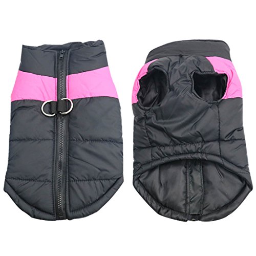 Idepet (TM Abrigo aprueba de Agua de Perro para Invierno Ropa para Perros pequeños medianos y Grandes Mascotas Tallas S M L XL XXL 3XL 4XL 5XL Idepet (TM Abrigo aprueba de Agua de Perro para Invierno Ropa para Perros pequeños medianos y Grandes Mascotas Tallas S M L XL XXL 3XL 4XL 5XL