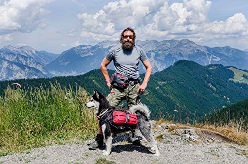 iEnergy Mal - Mochila para Perro, Talla Pequeño iEnergy Mal - Mochila para Perro, Talla Pequeño