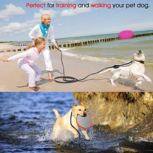 iNeego Correas Básicas para Perros 10M Correa de Perro Obediente Cuerda Nylon Largo Mascota Perro Formación Correa de Entrenamiento Llevar (Negro, 10M) iNeego Correas Básicas para Perros 10M Correa de Perro Obediente Cuerda Nylon Largo Mascota Perro Formación Correa de Entrenamiento Llevar (Negro, 10M)