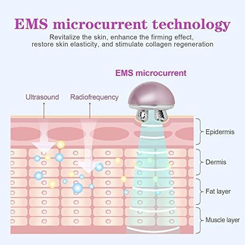 Instrumento de Masaje Facial MYCARBON Masajeador corporal Instrumento de Belleza Facial Masajeador de Micro-corriente vibración y Roller 3D Abrillantamiento Rejuvenecimiento Antiarrugas