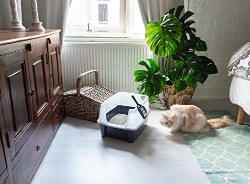 Iris Ohyama, arena para gatos con pala - Cat Litter Box - plástico, gris, 38 x 48,5 x 30,5 cm Iris Ohyama, arena para gatos con pala - Cat Litter Box - plástico, gris, 38 x 48,5 x 30,5 cm