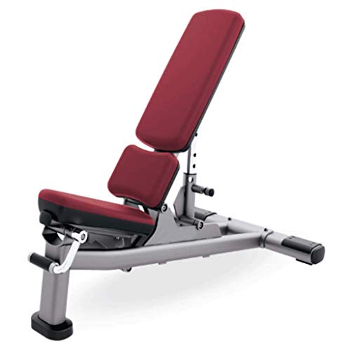 JHSHENGSHI Banco de Entrenamiento de Dumbell Entrenador de Silla con Mancuernas Ajustable Equipo de Ejercicios Multifuncional Dispositivo Abdominal casero