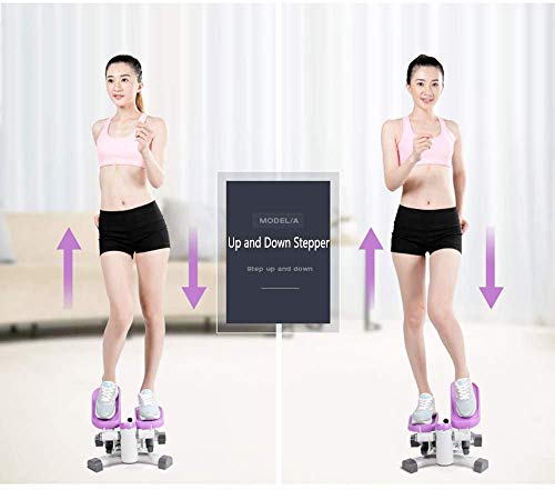 JLDN Mini Máquina de Step, 2 en 1 Fitness Stair Stepper con Bandas de Resistencia, Cardio Stepper Twisting Machine Swing Stepper, Twister Máquina de Pasos para el Entrenamiento Home,Purple JLDN Mini Máquina de Step, 2 en 1 Fitness Stair Stepper con Bandas de Resistencia, Cardio Stepper Twisting Machine Swing Stepper, Twister Máquina de Pasos para el Entrenamiento Home,Purple