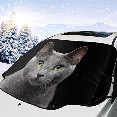 JONINOT Visera de sombrilla automática para Parabrisas Delantero Impermeable Retrato Primer Plano Gato Azul Ruso Impresionante Protector protección contra heladas Invierno vehículos JONINOT Visera de sombrilla automática para Parabrisas Delantero Impermeable Retrato Primer Plano Gato Azul Ruso Impresionante Protector protección contra heladas Invierno vehículos