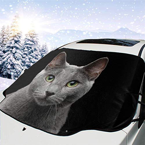 JONINOT Visera de sombrilla automática para Parabrisas Delantero Impermeable Retrato Primer Plano Gato Azul Ruso Impresionante Protector protección contra heladas Invierno vehículos