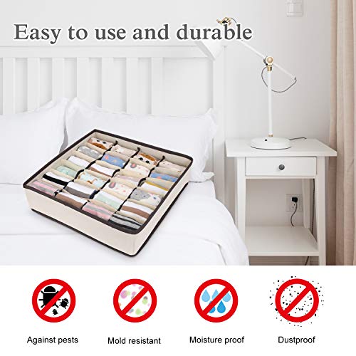 joyoldelf - Caja de Almacenamiento Plegable para cajones - 2 Paquetes - 24 Compartimentos - Organizador para Ropa Interior, Guardar Calcetines, Sujetadores, pañuelos joyoldelf - Caja de Almacenamiento Plegable para cajones - 2 Paquetes - 24 Compartimentos - Organizador para Ropa Interior, Guardar Calcetines, Sujetadores, pañuelos
