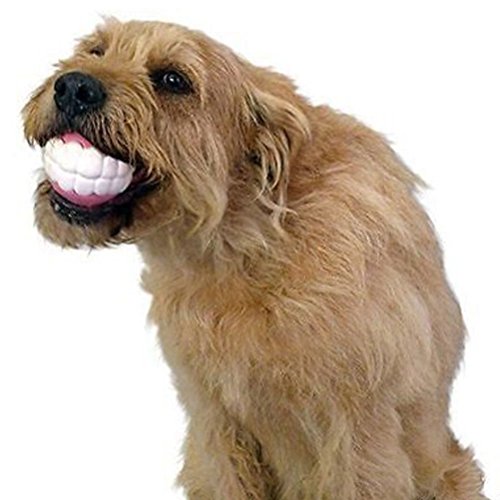 Juguete de dientes para perro, juguete para masticar perro, de peluche para limpiar los dientes y entrenar para cachorros, animales de compañía