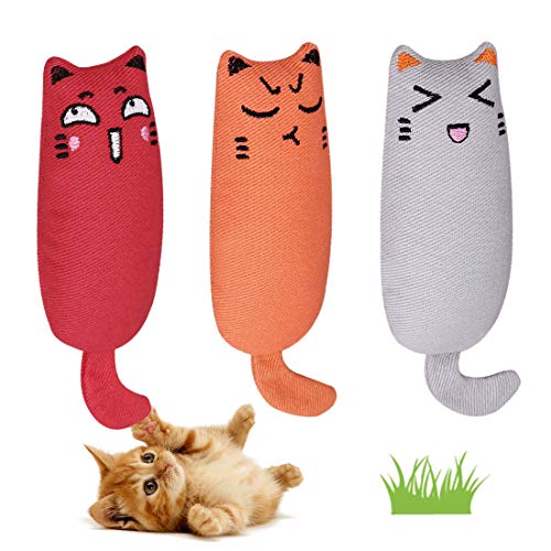 Juguete Hierba Gatera, Interactiva Mascota, Dientes para Masticar limpios, Juguetes Simulación Peluches, Hierba Gatera Almohada, Apto para Todos los Gatos y Gatitos