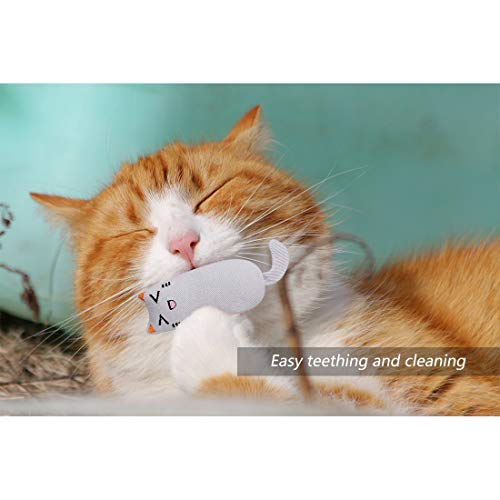 Juguete Hierba Gatera, Interactiva Mascota, Dientes para Masticar limpios, Juguetes Simulación Peluches, Hierba Gatera Almohada, Apto para Todos los Gatos y Gatitos