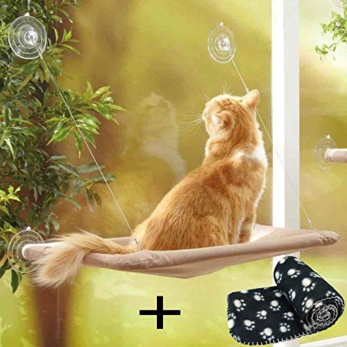 JZK Ventana montada Hamaca para Gato + Manta Gato, Cama Colgante Mascota ventosas y Manta Negra para Gato Perca JZK Ventana montada Hamaca para Gato + Manta Gato, Cama Colgante Mascota ventosas y Manta Negra para Gato Perca