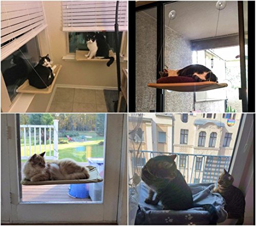 JZK Ventana montada Hamaca para Gato + Manta Gato, Cama Colgante Mascota ventosas y Manta Negra para Gato Perca JZK Ventana montada Hamaca para Gato + Manta Gato, Cama Colgante Mascota ventosas y Manta Negra para Gato Perca
