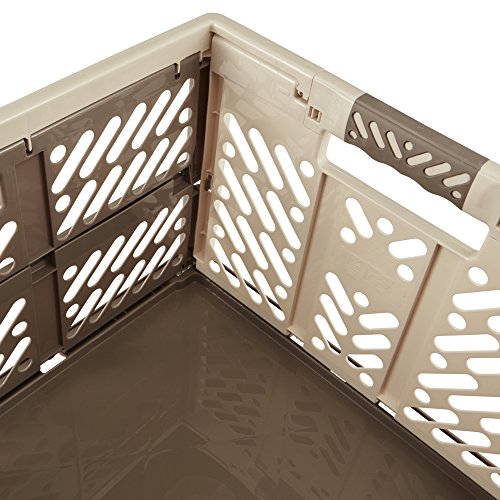 keeeper Robusta Caja Plegable con Mangos Suaves, 54 x 37 x 28 cm, 45 l, Ben, Crema/Marrón keeeper Robusta Caja Plegable con Mangos Suaves, 54 x 37 x 28 cm, 45 l, Ben, Crema/Marrón