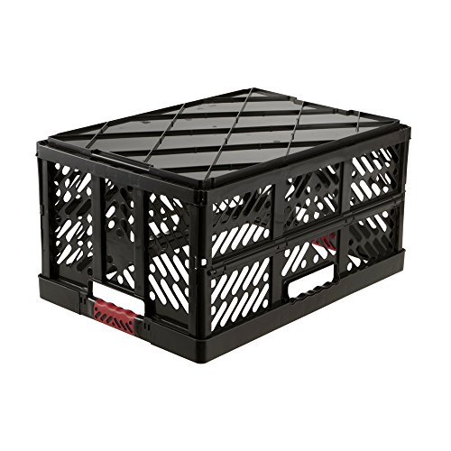 keeeper Robusta Caja Plegable con Mangos Suaves, 54 x 37 x 28 cm, 45 l, Ben, Gris Grafito keeeper Robusta Caja Plegable con Mangos Suaves, 54 x 37 x 28 cm, 45 l, Ben, Gris Grafito