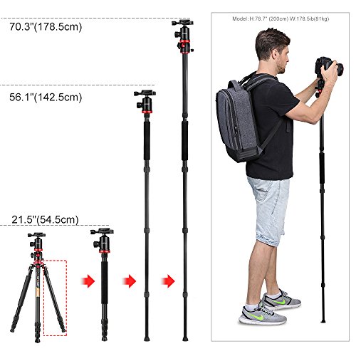 K&F Concept Trípode Profesional TM2534T Trípode Extensible Monopod 4 Secciones con 360° y 180° Columna Central Cabeza de Bola Placa Rápida Liberazación para Cámara DSLR Canon Nikon Sony GoPro