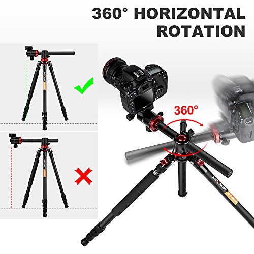 K&F Concept Trípode Profesional TM2534T Trípode Extensible Monopod 4 Secciones con 360° y 180° Columna Central Cabeza de Bola Placa Rápida Liberazación para Cámara DSLR Canon Nikon Sony GoPro K&F Concept Trípode Profesional TM2534T Trípode Extensible Monopod 4 Secciones con 360° y 180° Columna Central Cabeza de Bola Placa Rápida Liberazación para Cámara DSLR Canon Nikon Sony GoPro