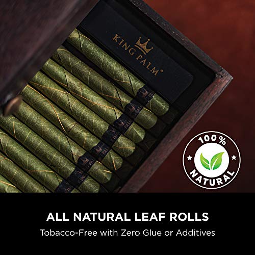 King Palms Rey de Palm - enrollados a Mano la Hoja de Palma Wrap Rolls - preroll + Tubo - 1 Rollo/Tubo - 1 Unidad Individual - (Extragrande) King Palms Rey de Palm - enrollados a Mano la Hoja de Palma Wrap Rolls - preroll + Tubo - 1 Rollo/Tubo - 1 Unidad Individual - (Extragrande)