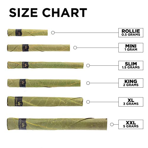 King Palms Rey de Palm - enrollados a Mano la Hoja de Palma Wrap Rolls - preroll + Tubo - 1 Rollo/Tubo - 1 Unidad Individual - (Extragrande) King Palms Rey de Palm - enrollados a Mano la Hoja de Palma Wrap Rolls - preroll + Tubo - 1 Rollo/Tubo - 1 Unidad Individual - (Extragrande)