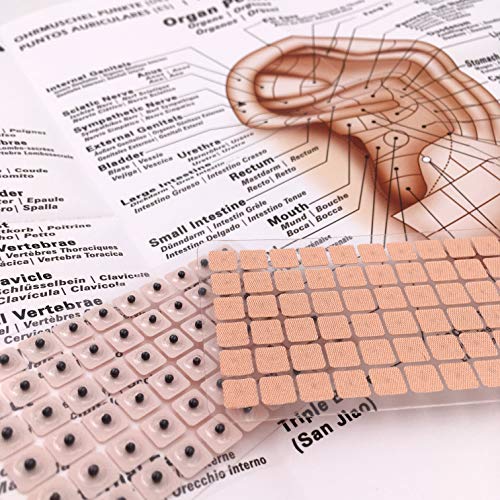 Kit de 600 Cuentas Semillas de Oreja Múltiples Condiciones, Libro Electrónico Diagrama de Posicionamiento, Sonda, Diagrama de Acupuntura de la Oreja, Pinzas