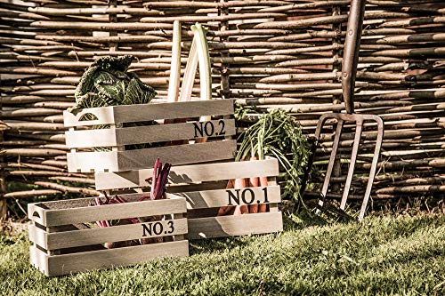 Kitchen Craft Natural Elements Madera de Paulownia Cajas de Almacenamiento, Juego de 3 Kitchen Craft Natural Elements Madera de Paulownia Cajas de Almacenamiento, Juego de 3