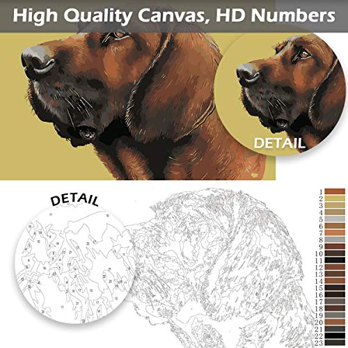 Kits personalizados para pintar por números para adultos, kits profesionales de pintura de mascotas y retratos, regalos de bricolaje, haga su propia foto con marco, pinturas y pinceles para dibujar… Kits personalizados para pintar por números para adultos, kits profesionales de pintura de mascotas y retratos, regalos de bricolaje, haga su propia foto con marco, pinturas y pinceles para dibujar…
