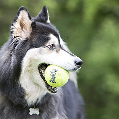 KONG Squeakair Ball - Pelota de Tenis Sonora para Perros de Raza Mediana