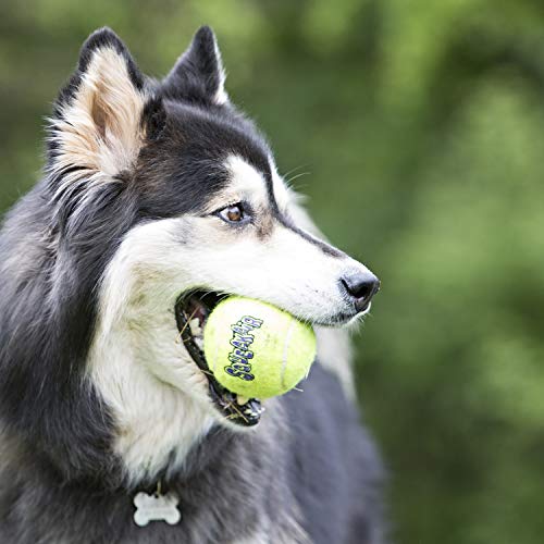 KONG - Squeakair Ball - Pelotas de Tenis sonoras Que respetan Sus Dientes - para Perros de Raza Grande