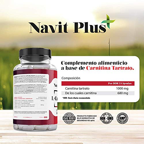 L-CARNITINA PURA | Pérdida de peso y potente quemador de grasa deportivo | Código Nacional Farmacia 194556.3 | Aporte de energía, resistencia y recuperación | 120 Cápsulas | Navit Plus