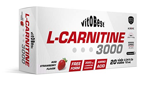 L-CARNITINE 3000-20 Viales 10 ml FRESA ACIDA - Suplementos Alimentación y Suplementos Deportivos - Vitobest
