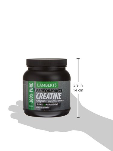 Lamberts Creatina Polvo - 500 gr Lamberts Creatina Polvo - 500 gr
