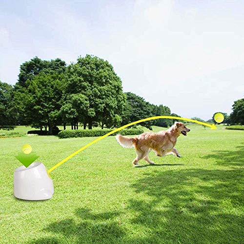 Lanzador automático de bolas para perros, todo para patas de perro interactivo, lanzador de bolas automático para perros grandes, juguete para mascotas, juego de lanzar, 3 pelotas de tenis incluidas