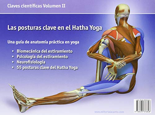 Las posturas clave en el hatha yoga