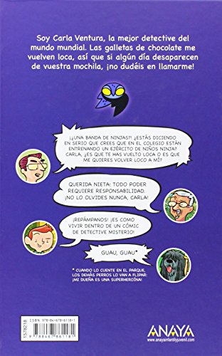 Lechuza Detective 1: El origen (LITERATURA INFANTIL (6-11 años) - Lechuza Detective)