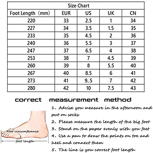 LEEFISH Patines De Ruedas Patines De Cuatro Ruedas para Niños Zapatos Unisex con Rueda Zapatos con Ruedas para Adultos Calzado De Skate Técnico para Deportes Al Aire Libre,EU33/UK1