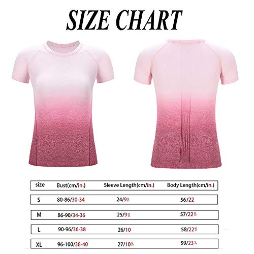 Leoyee Seamless Gradient Gym Medias Camisa Deportiva Yoga Top para Mujeres Running Camiseta de Entrenamiento Top de Manga Larga