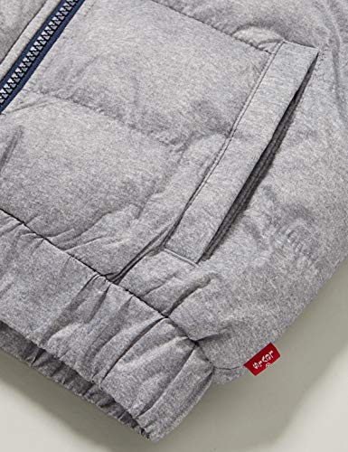 Levi's Kids Lvb Aop Color Block Puffer I Parca Niños Oyster Mushroom 16 años