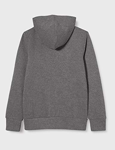 Levi's Kids Lvb Chenille Batwing Hoodie Sudadera Niños Charcoal Heather 16 años