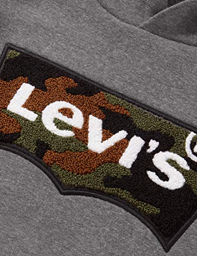 Levi's Kids Lvb Chenille Batwing Hoodie Sudadera Niños Charcoal Heather 16 años